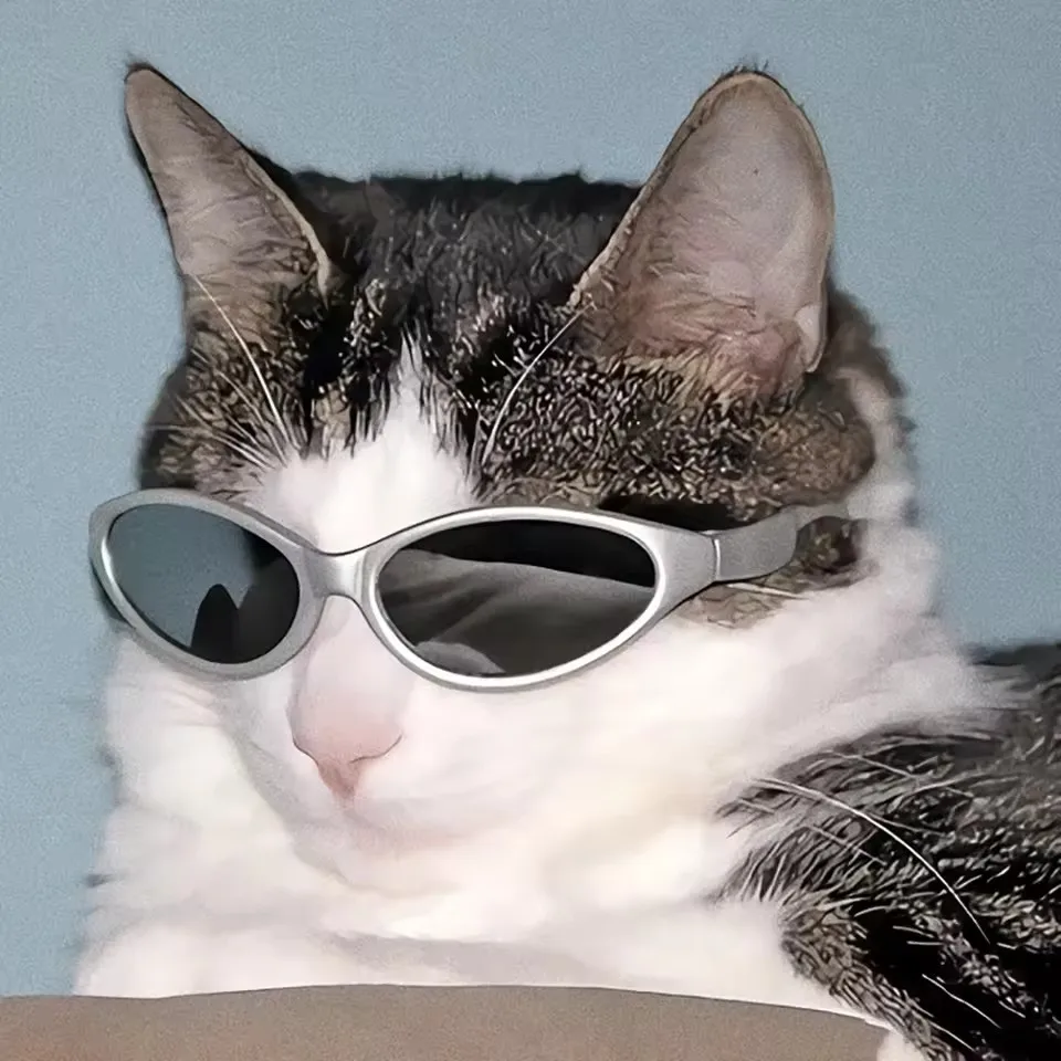 

Adam’s Mega Foam (16oz) - pH Neutral Car Soap For Car Washing, Concentated For Wash Bucket, Foam Gun