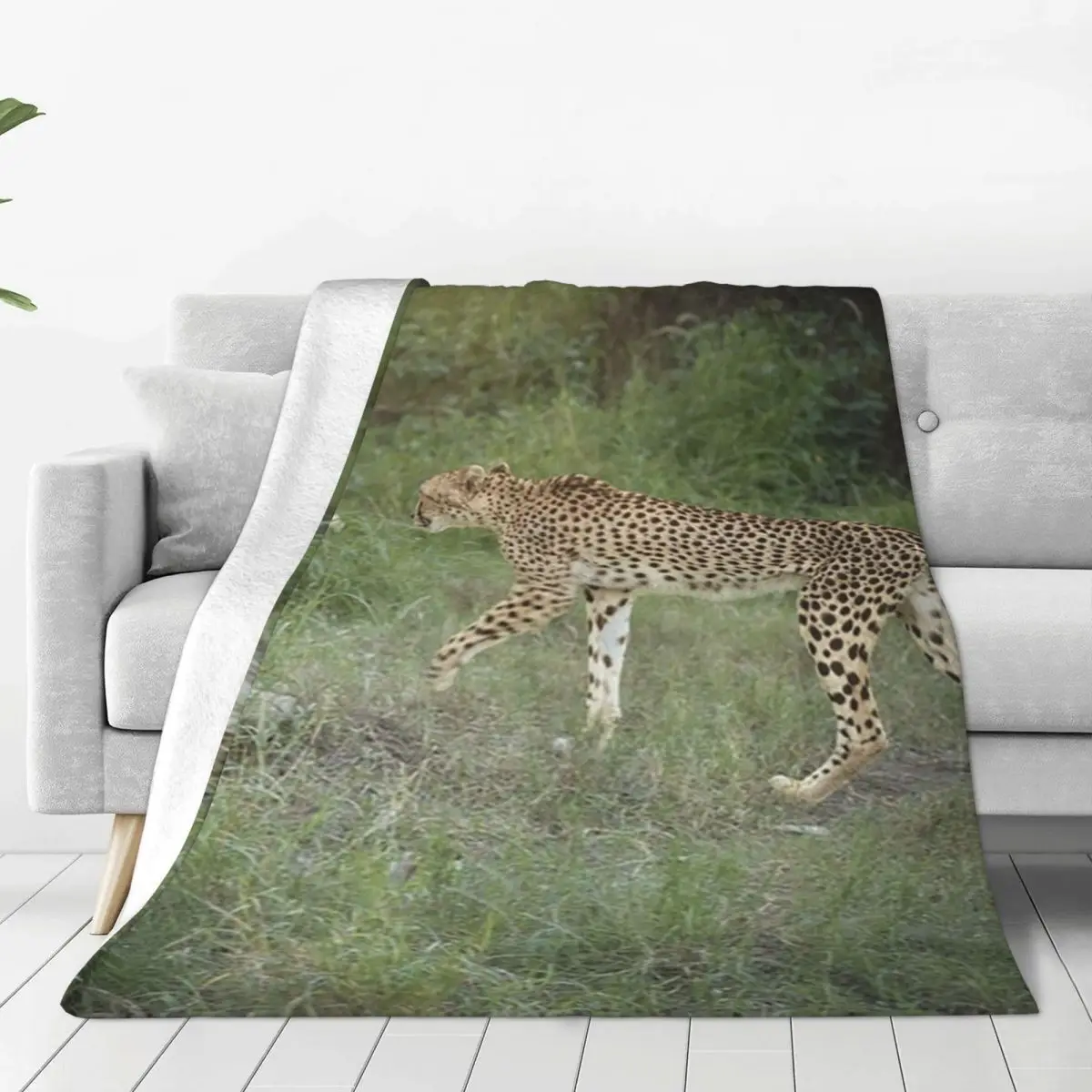 2 Cheetahs Blanket Fleece Warm Sofa Throw Blankets For Couch Bedding Outdoor Throws Bedspread Quilt