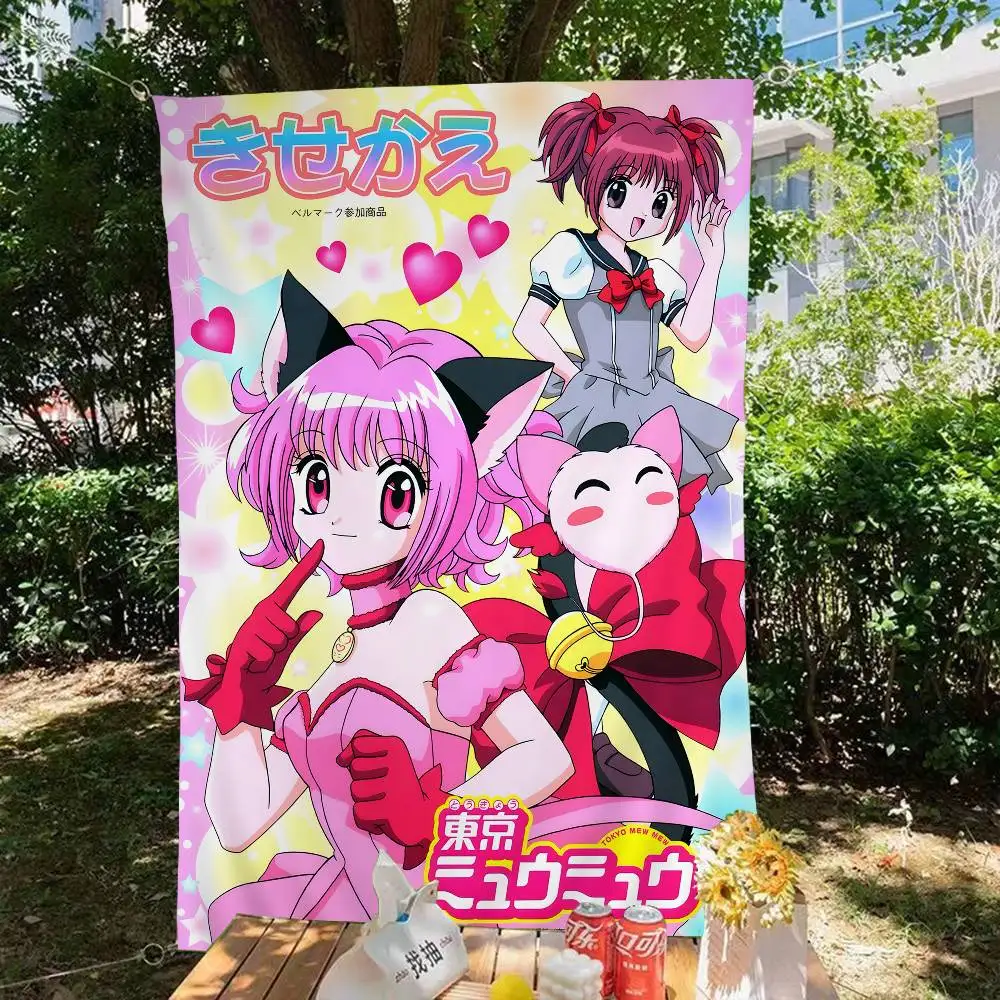 Tokyo Mew Mew Anime…