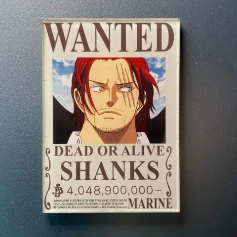 9 st One Piece Wanted kylskåpsmagneter tecknade anime hemkök bekvämlighet foto anslagstavla kylskåpsmagnetiska klistermärken 12 best sales Akuma no mi One Piece - №4