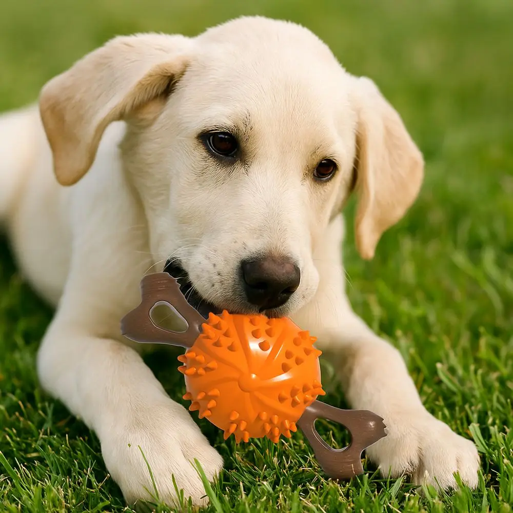

Pet Supplies Bite Resistant Dog Teething Stick TPR with Raised Dots Dog Chew Soft Dog Bone Molar Ball Self Amusement