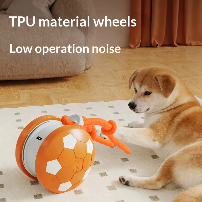 Led Illuminated Foo…