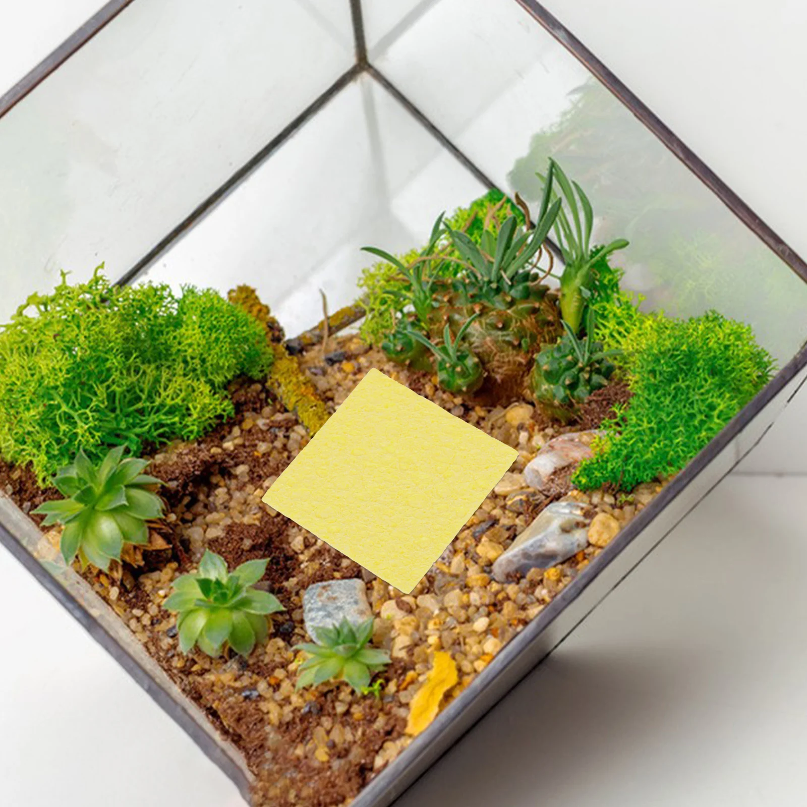 

20Pcs Small Sponge for Crab Tank Natural Unbleached Sea Sponge Humidity Regulation Reptile Water Dish Use 2.3inch Round