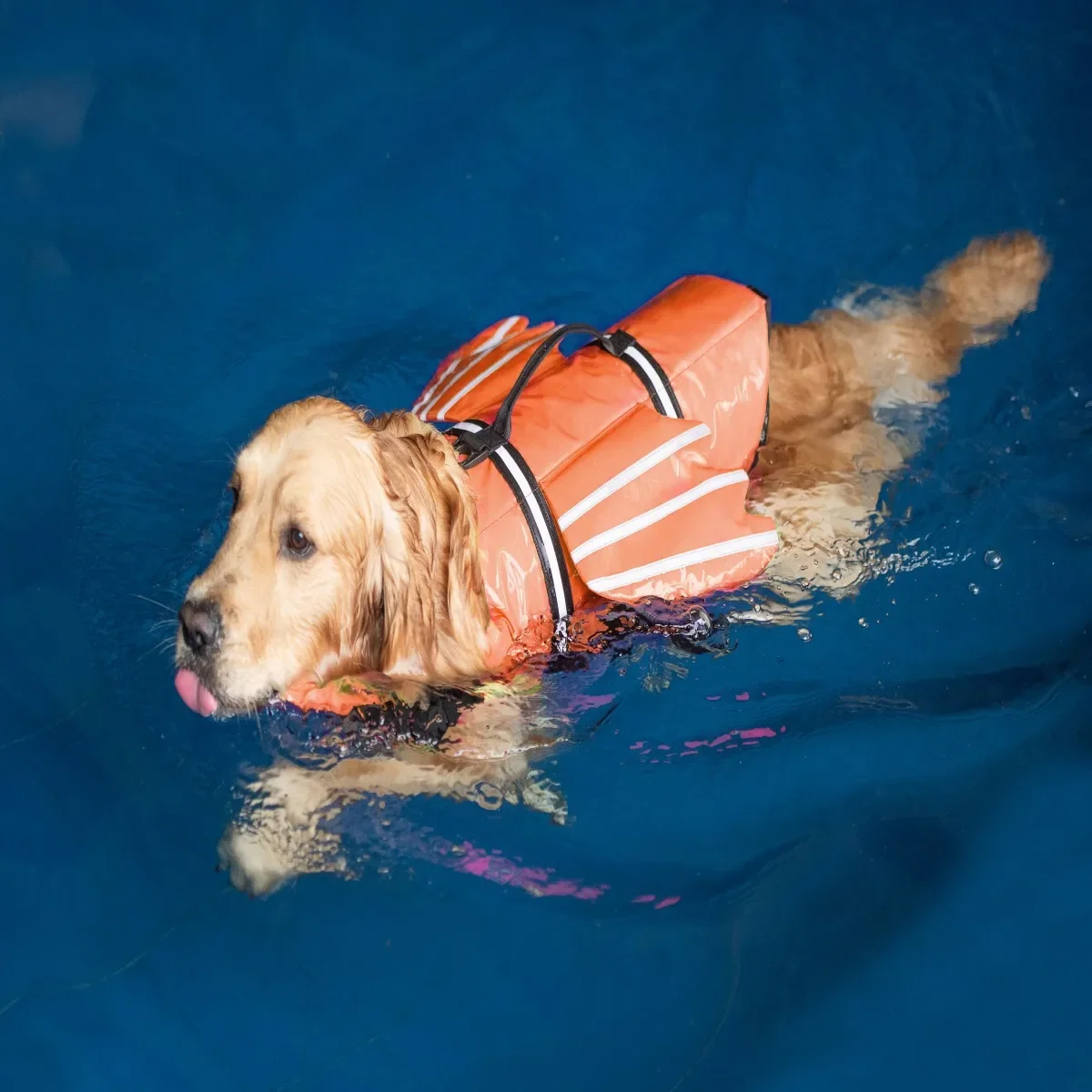 Pet Lifejacket New Reflective Outdoor Dog Clothes Pet Swimming Suit Angel Wings Dog Lifejacket Summer Clothing