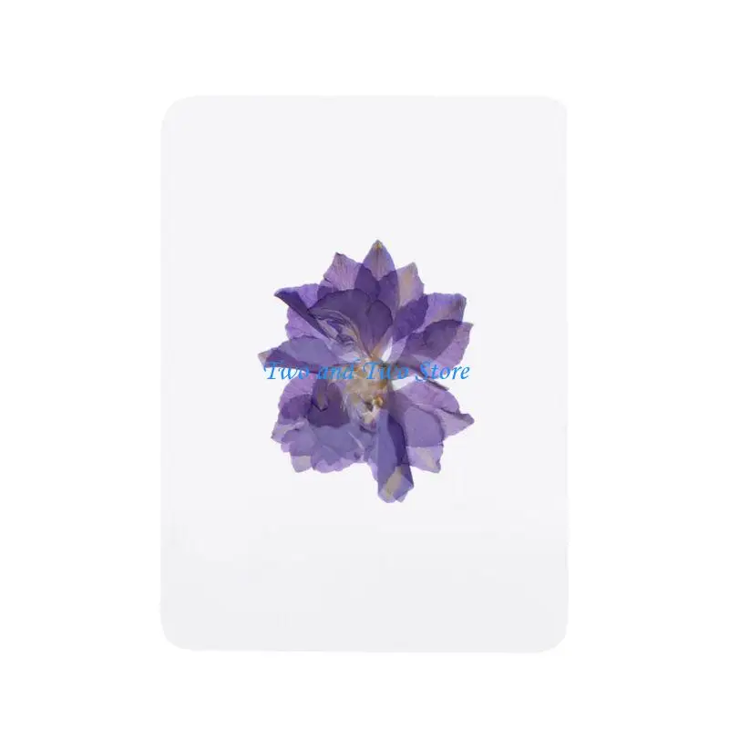 

HX6F Natural Dried Flowers and Leaves Plant Fillers for Resin Jewelry Pendant Bracelet Scrapbooking DIY Arts Cards