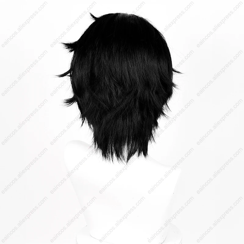 IDV 다크 방랑자 Seer 느와르 코스프레 가발 33cm 화이트 블랙 혼합 색상 가발 내열성 합성 머리카락