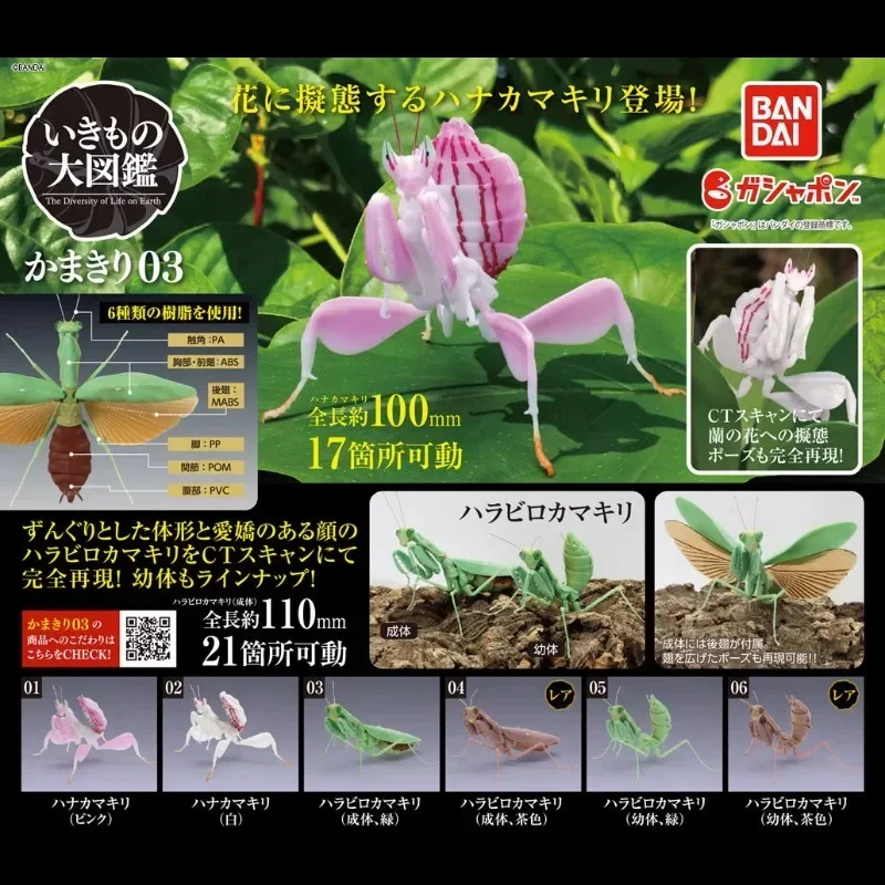 BANDAI figura de Gashapon de Japón, mapa de biología, orquídea, Mantis, modelo de insectos, cápsula Kawaii, juguetes, estatuilla para niños, regalo para niñas