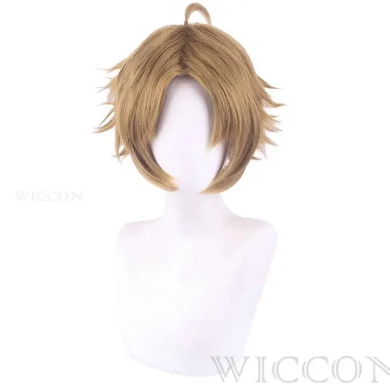 2025 yiyiMushoku Tensei: التناسخ العاطلين عن العمل تأثيري حلي Rudeus Greyrat القماش شعر مستعار أحذية كرنفال الهالوين