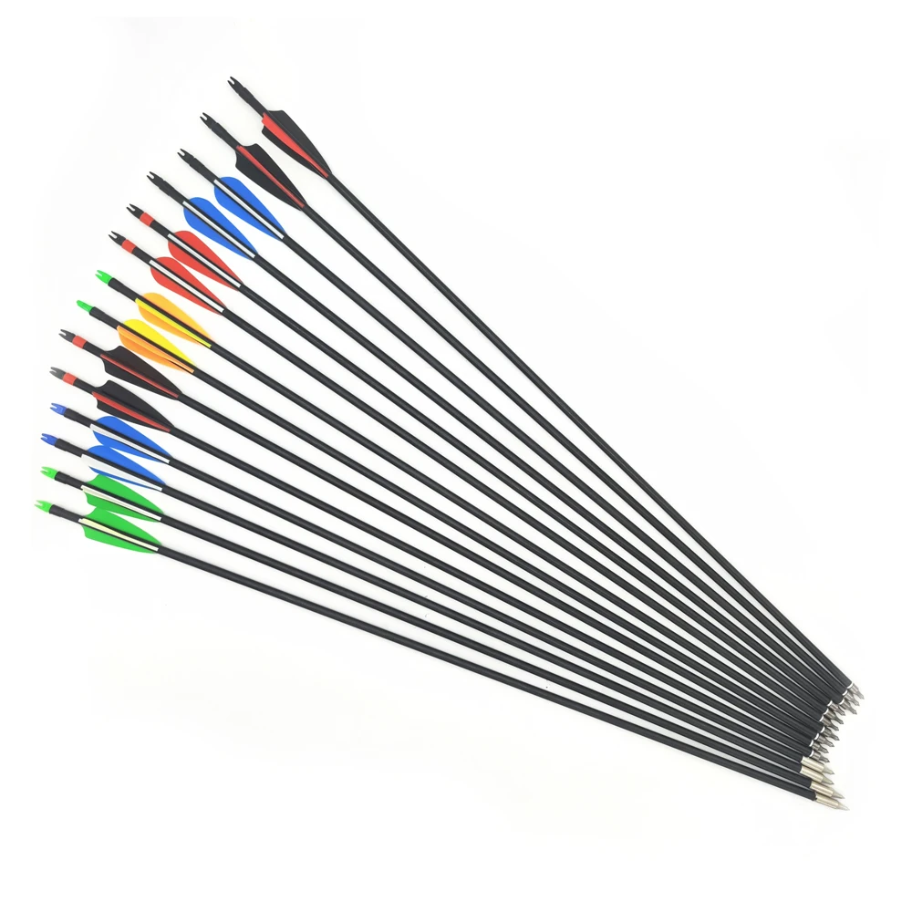 

6/12 Pcs Fiberglass Arrow 31 Inches Spine 500 Diameter 8mm Plastic Feathers for Recurve Compound Bow Archery Hunting Shooting