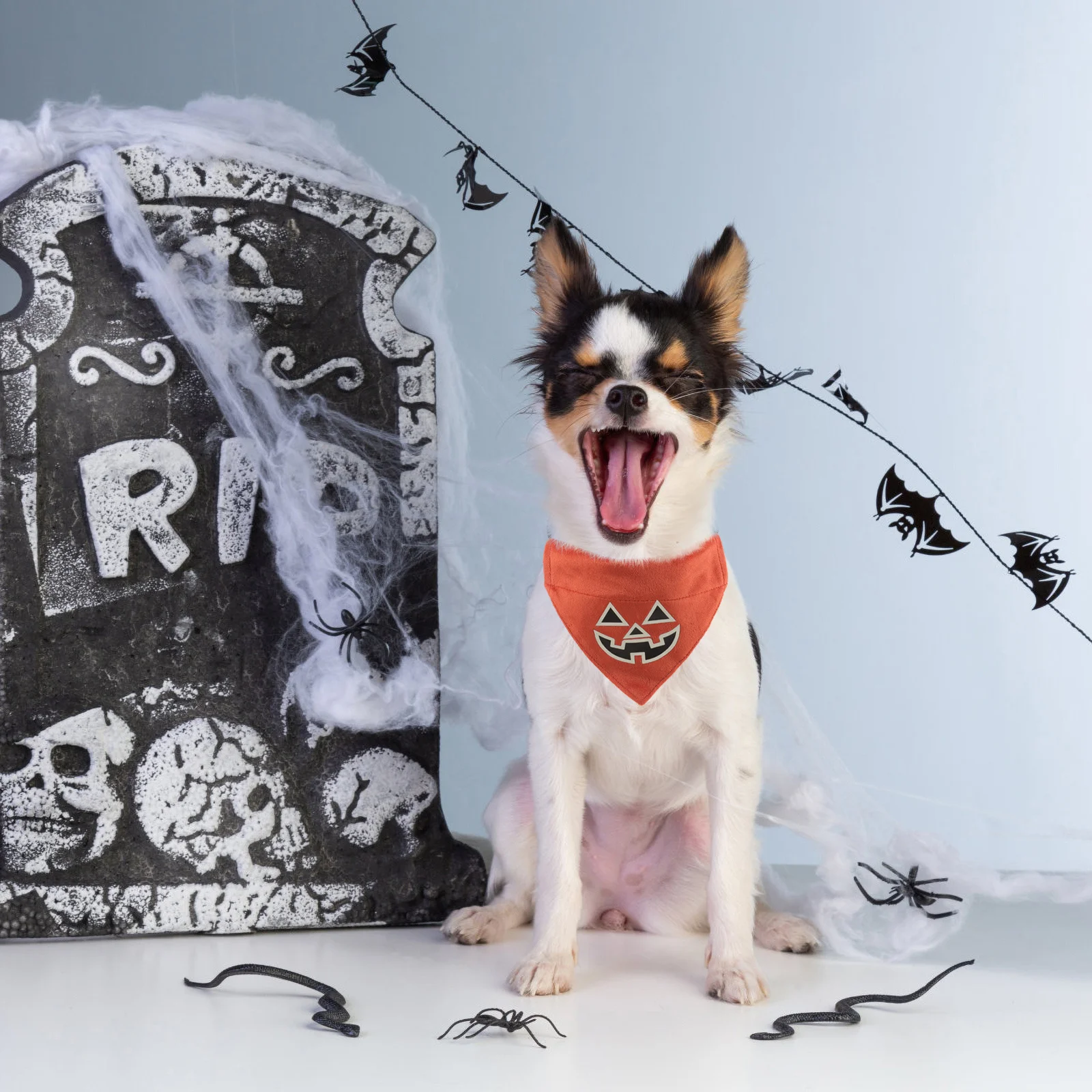 

Glow in Dark Pet Bandana Halloween Pattern Comfortable Touch Dog Cat Supplies Decorative Kitten Bandana Festival Costume