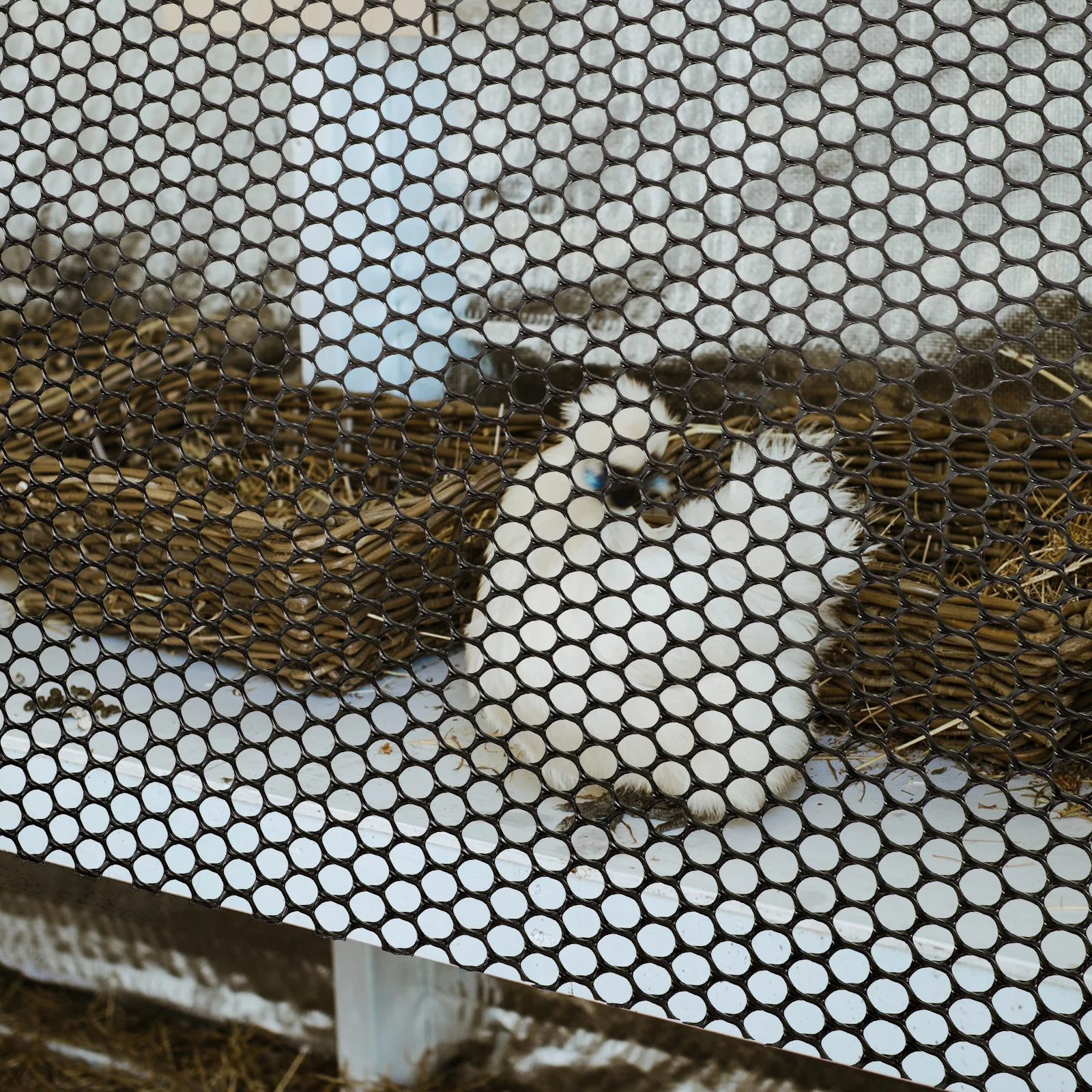 

1 Roll Hexagonal Garden Fence Net Plastic Mesh Screen Durable Lightweight Protective Netting for Chicken Coop Poultry and