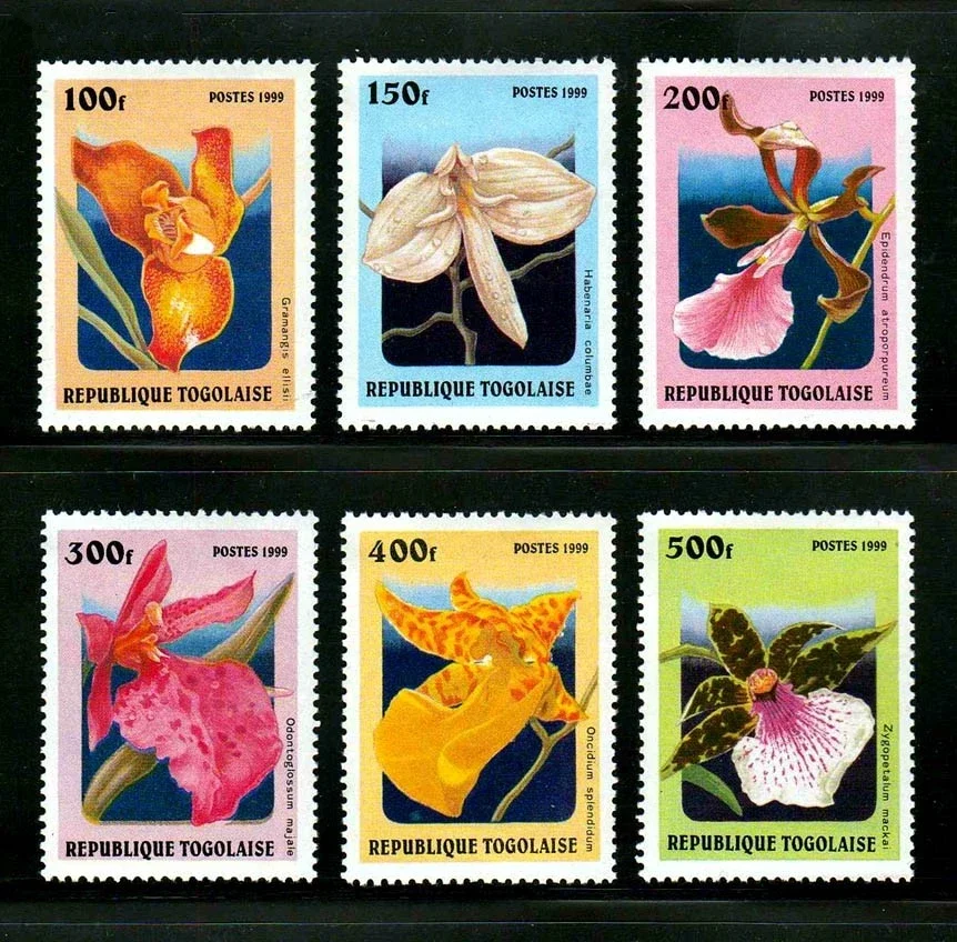 6Pcs/Set New Togo P…