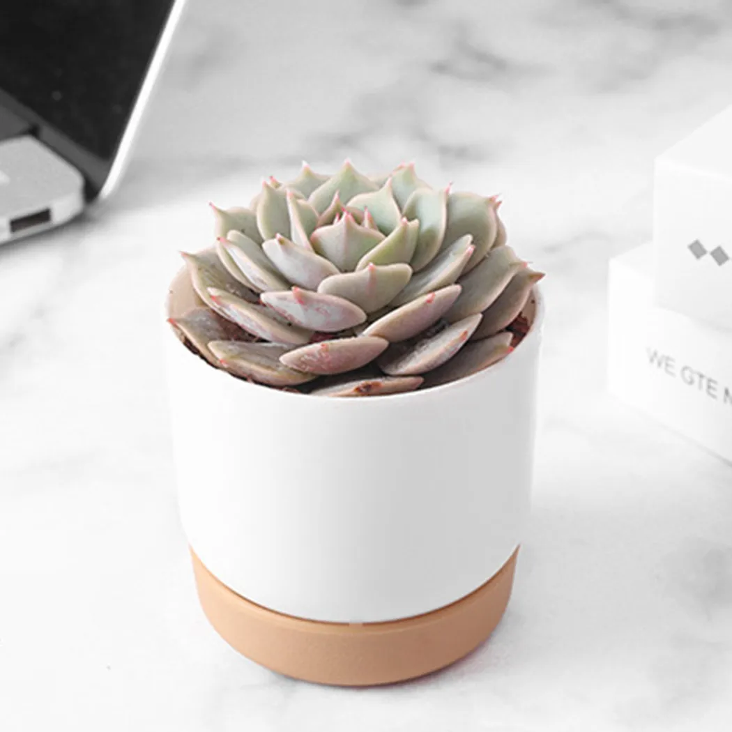 White khaki Bottom With Saucers Flower Flowerpot Garden Indoor PP HIPS Plant Self-Watering 90*72mm Accessories