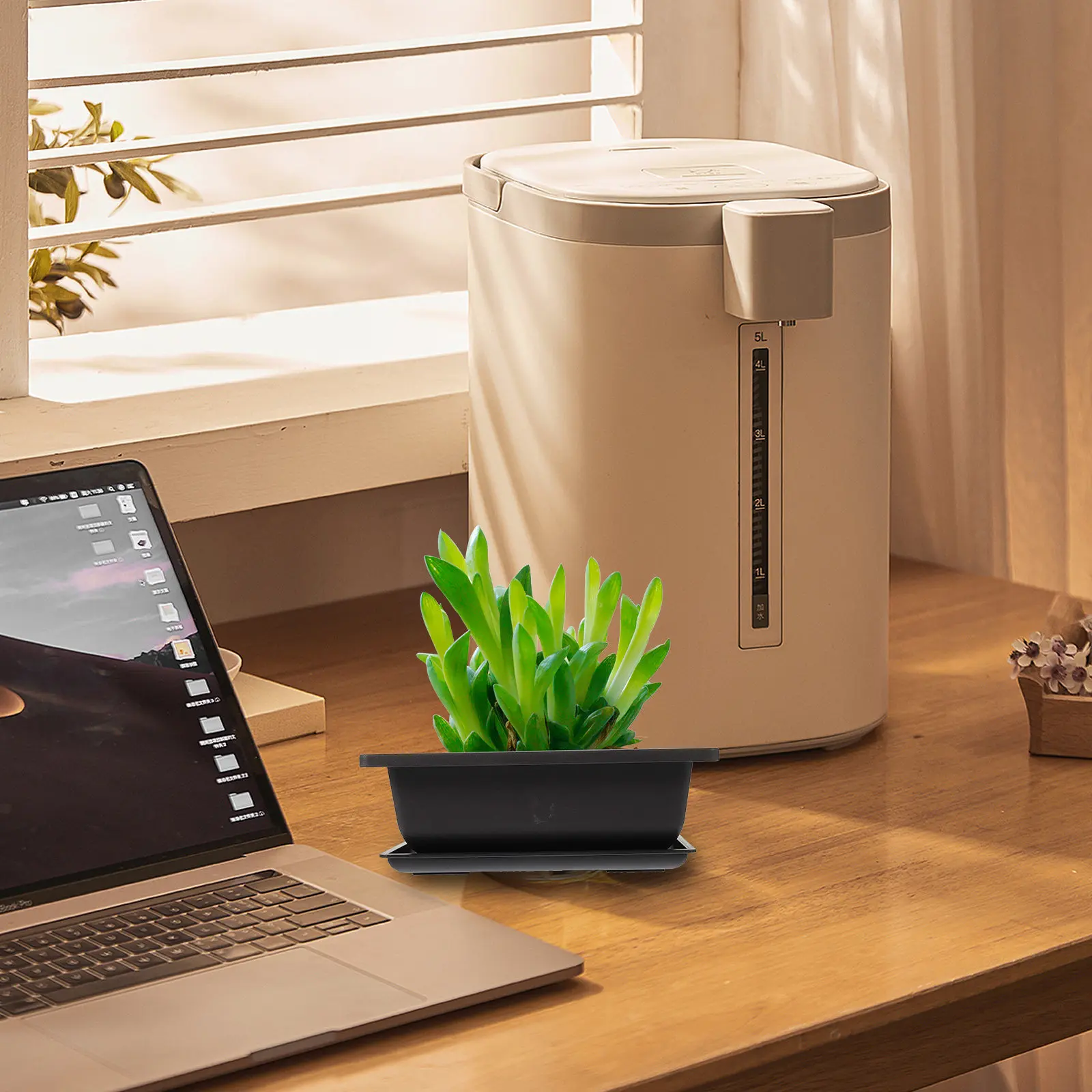 

Набор прямоугольных пластиковых горшков для суккулентов с поддонами, для комнатных растений, цветочные горшки-контейнеры для небольших растений