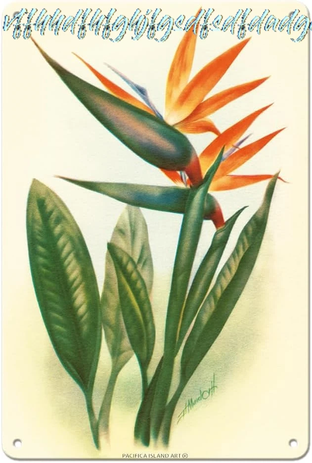 Hawaiian Bird of Paradise - Vintage Hawaiian Airbrush Art by Ted Mundorff c.1940s - 8 x 12 inch Vintage Metal Tin Sign sign