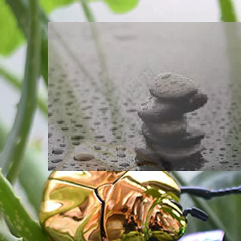 

MX 1Pc new Scarab Beetle Children's Plastic Animals Toy Wind Up Beetle Bionic Toys Creative Prankster Animated Insect Model