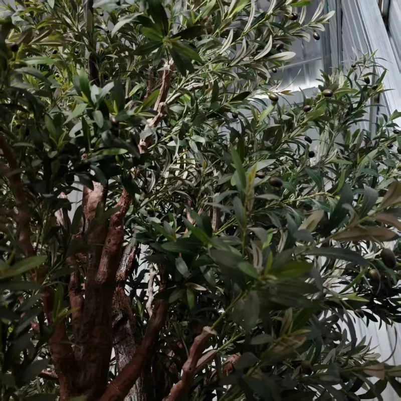 Customized 3.5m High Big Artificial Olive Tree Fake Large Olive Tree for Indoor and Outdoor Decoration