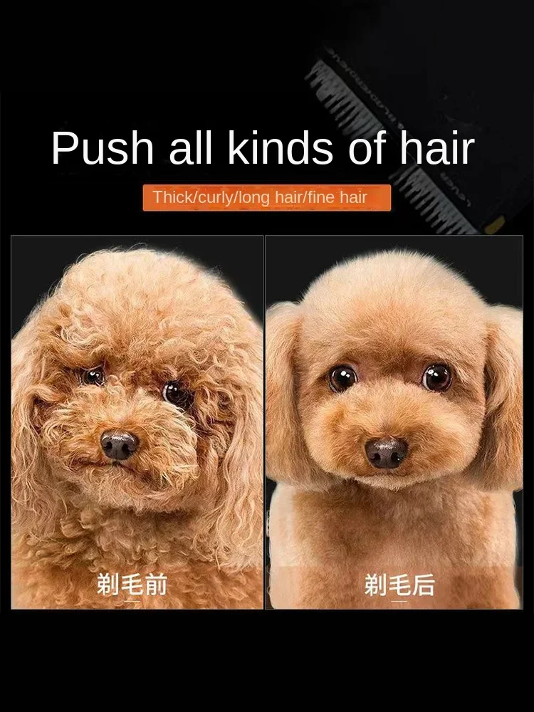 Haustier Rasierer Hund elektrische Schubs chere