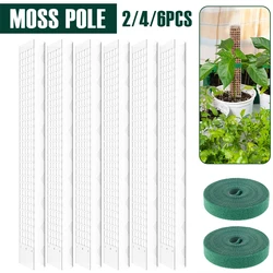 2/4/6Pcs Moss Pole Plastic Plant Pole Stick Reusable Transparent Plant Support Gardening Supplies Accessory for Climbing Plants