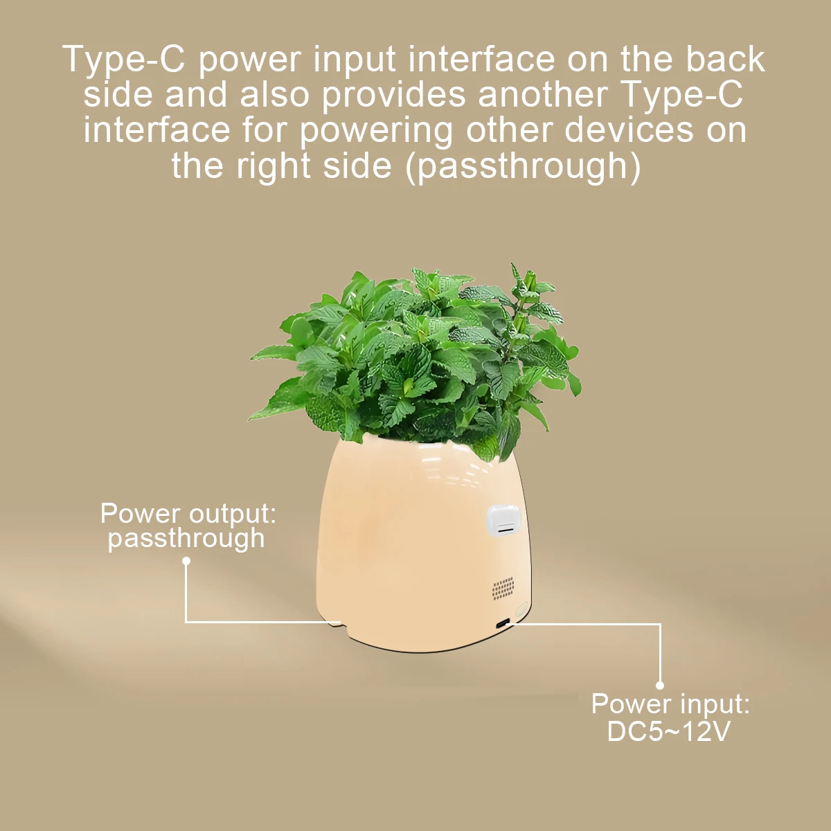 LINCUKOO Tuya Smart AI Blumentopf Gen1 Desktop WiFi-Pflanzgefäß, Erweiterte KI-Sprachsteuerung mit ChatGPT Gemini Tuya Geräteverknüpfung – Detail 15