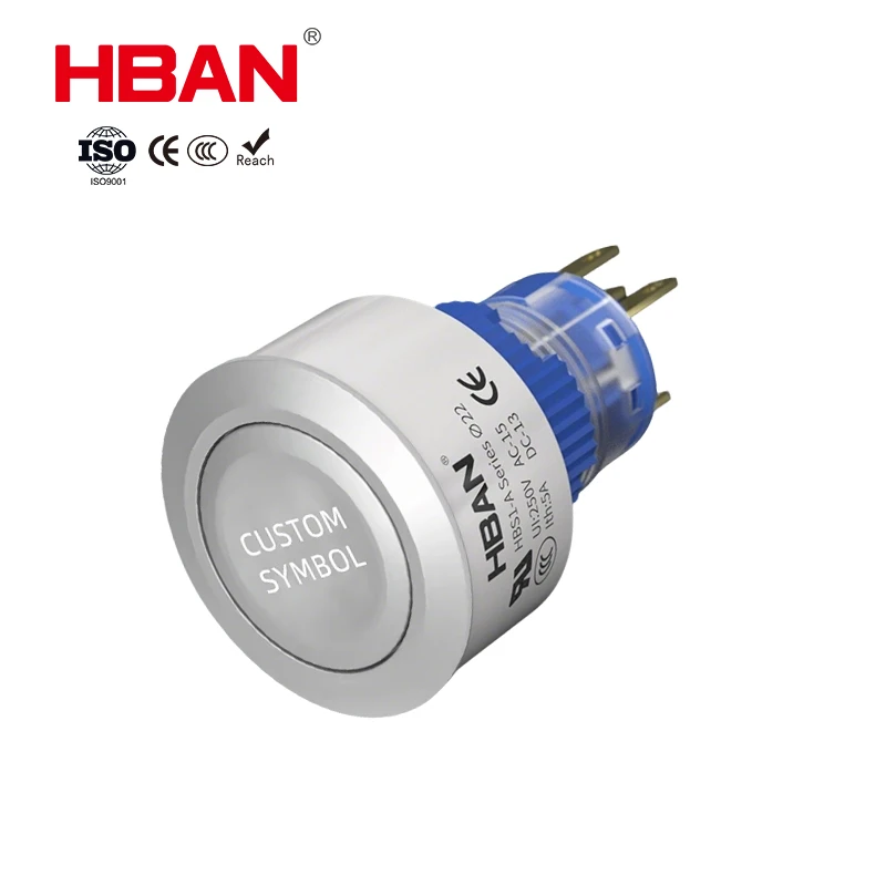 High Performance ABS Push Button Switch 22mm Dot Illuminated 1NO1NC Flat Head IP40 5A 250V Pin Terminal Custom Symbol Service