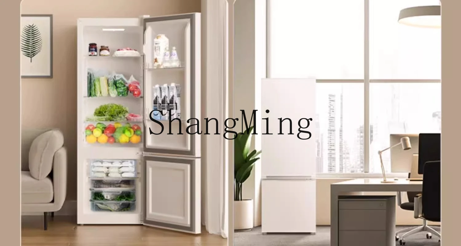 ZYY 家庭用小型冷蔵庫超薄型両開き省エネ小型ミニ冷凍庫