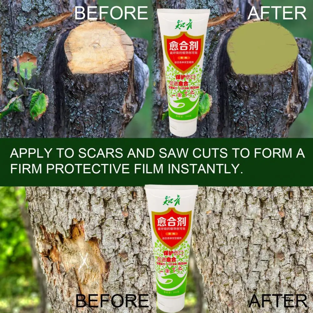 

Tree Wound Sealant Agent Plant Wound Agent Efficient Tree Grafting Paste for Bonsai Care Pruning Plant Wound for Gardening