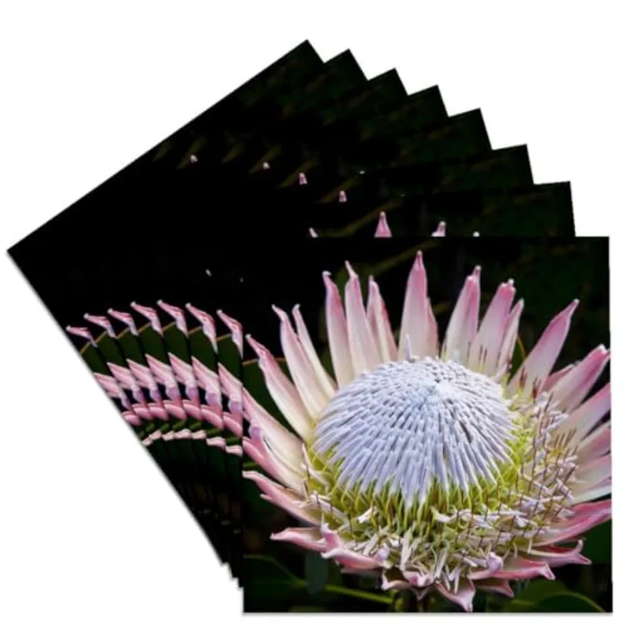 

CST_72159_4 Flowers Kirstenbosch Gardens South Africa-AF42 RBE0058-Ralph H. Bendjebar-Ceramic Tile Coasters Set of 8