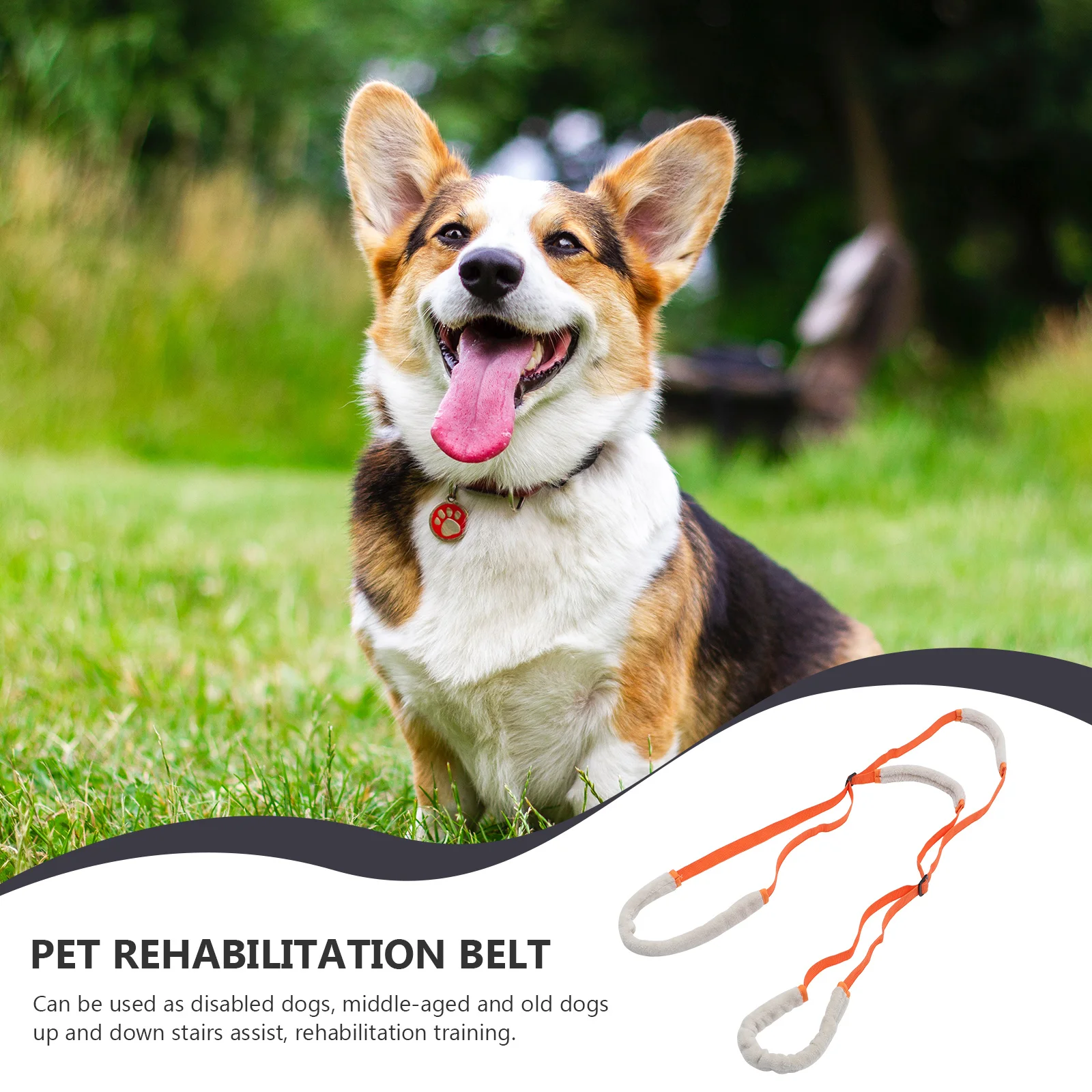 

Portable Dog Assist Belt Pet Vest Harness Support Strap Rear Aid Adjustable Coral Fleece Durable Disabled Dog Lift