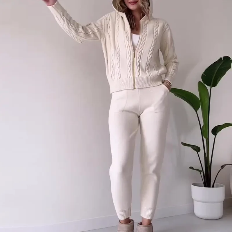 

Autumn and Winter Solid Color Hooded Zipper Top Trousers Women's Casual Suit