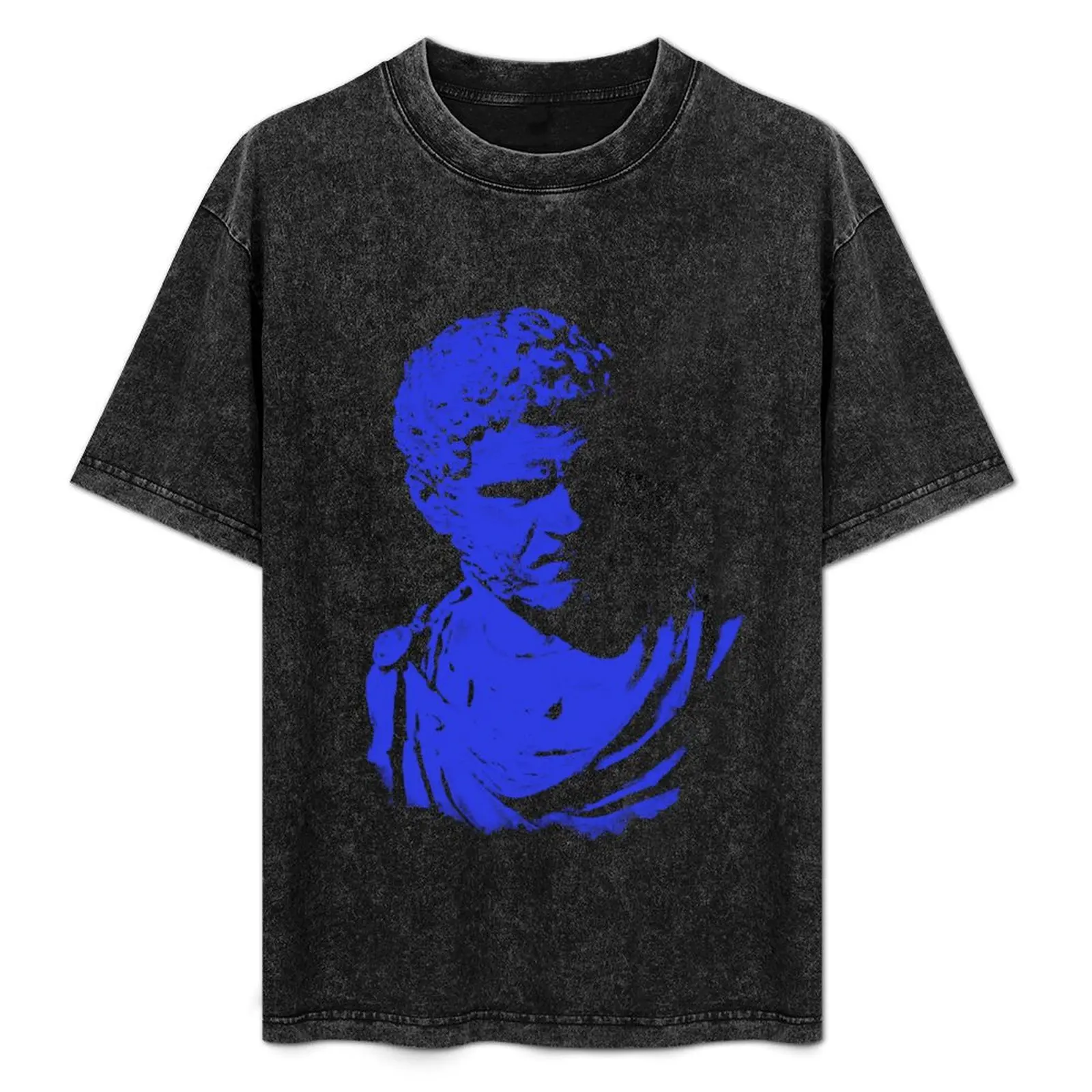 

Caracalla, The Mighty Will Fall T-Shirt Gym Exercise Short Sleeve T-Shirt