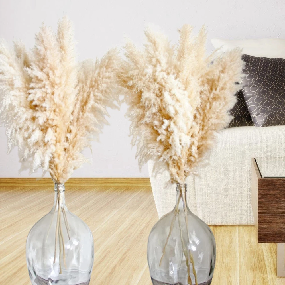 Large Natural Pampas Grass Decor Living Room Dried Plants Decor Floor Vase Long Stem Pampas Wedding Flowers Boho Home Decor