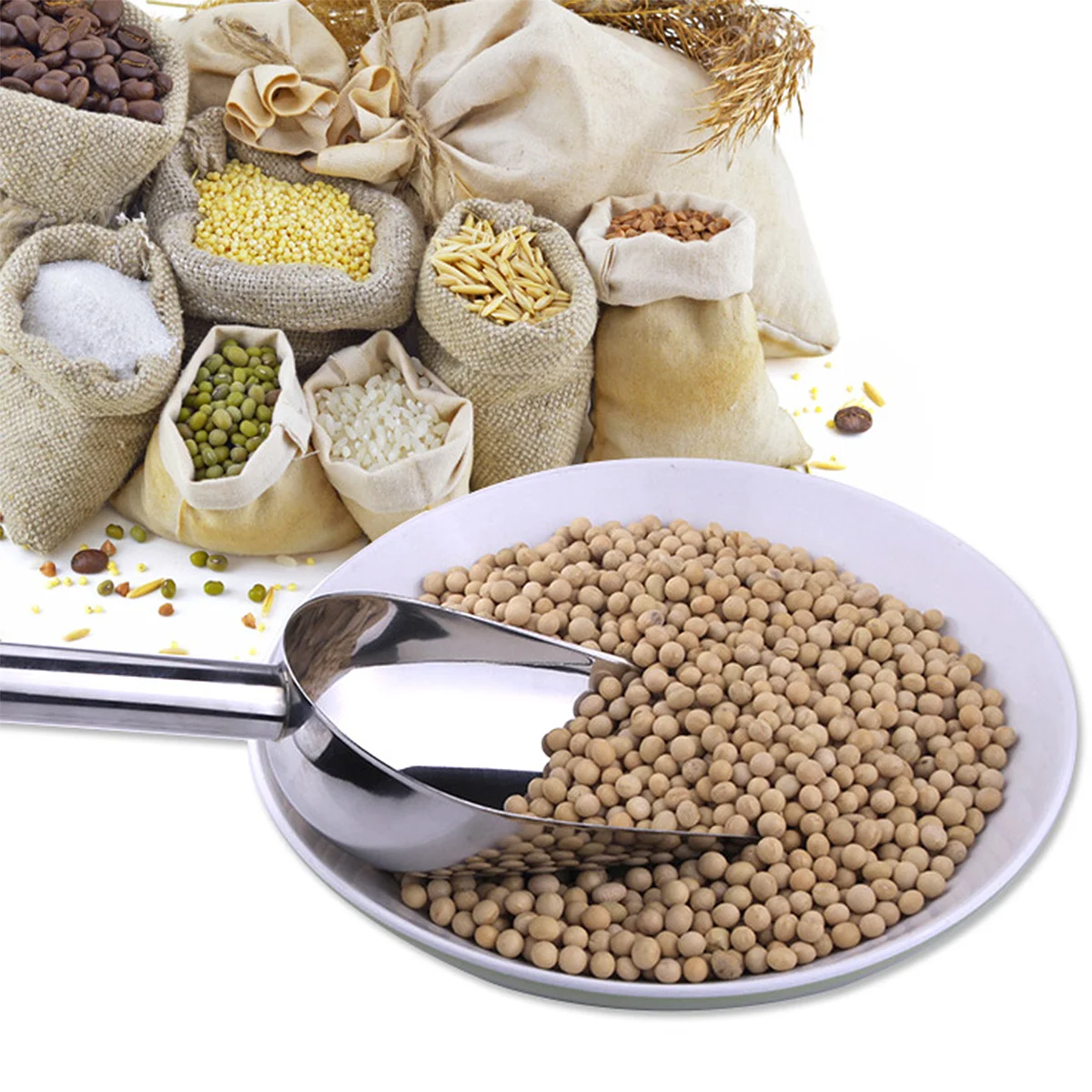 

Pet Food Scoop Stainless Steel 205G Capacity For Dog Food Dry Goods Candies Nuts Flour Coffee Beans Popcorn Cooking Ingredients