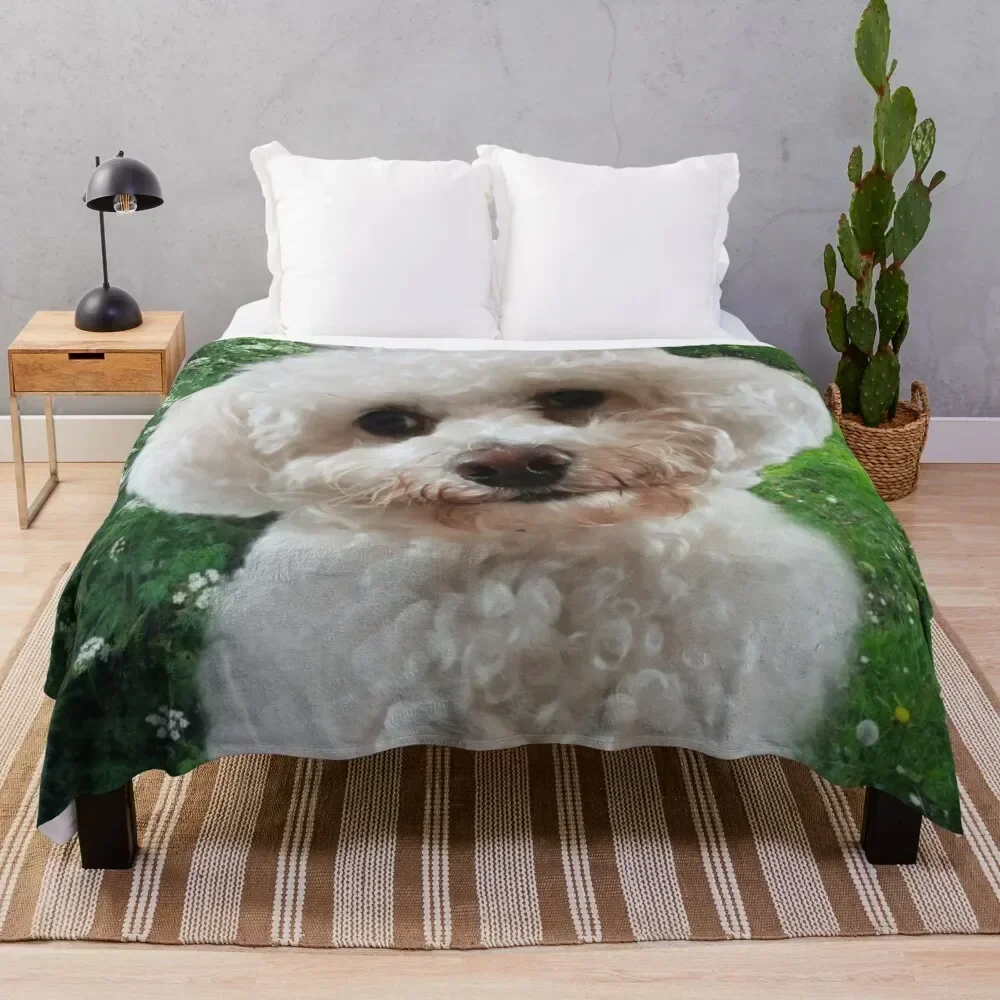 

Cavachon Throw Blanket Soft Warm Blanket Gift for Grandparents