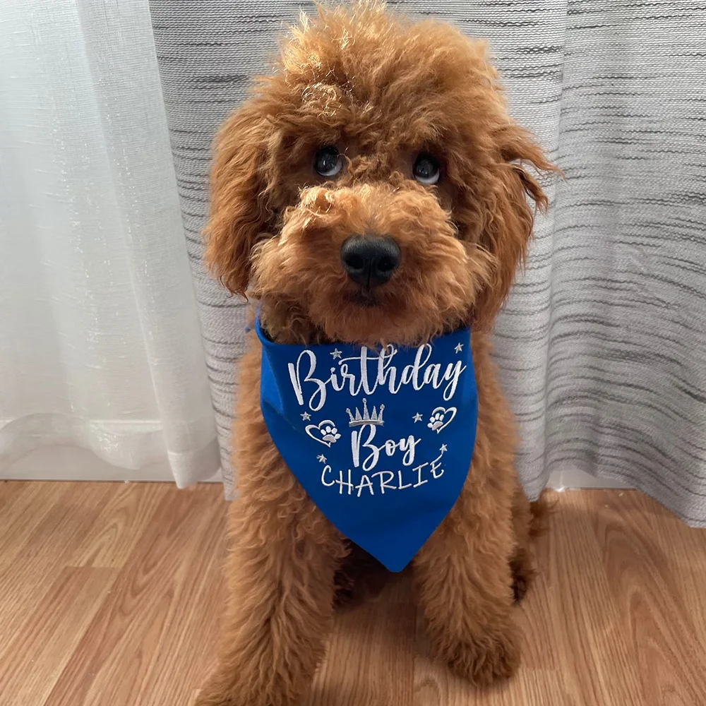 

Personalized 1Pcs Dark Blue Birthday Dog Bandana with Dog Name Pet Birthday Accessories Lovely Plush Friends Gift Shooting Props