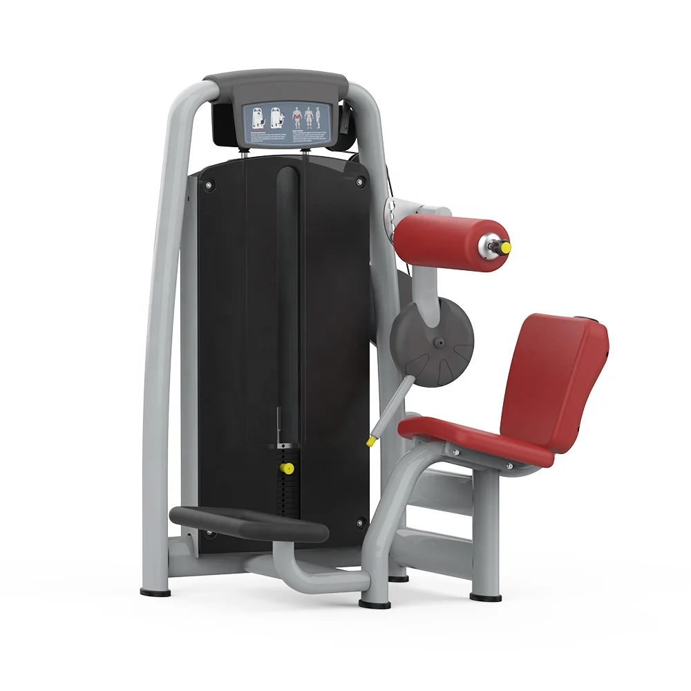 آلة اختيار القوة التجارية لتدريب الظهر السفلي المحملة بالدبوس 2025 #2