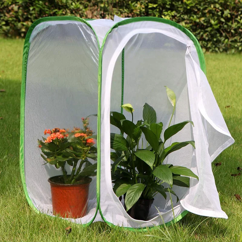 2-Pack Insect And Butterfly Habitat Cage Terrarium -Up Butterfly Enclosure (2 X 15.7 X 15.7 X 23.6Inch) Easy To Use