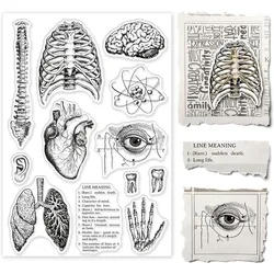 1 Sheet Human Body Silicone Clear Stamp Spine Brain Transparent Silicone Stamp Heart Lungs Rubber Stamp 4.3 x 6.3 Inch