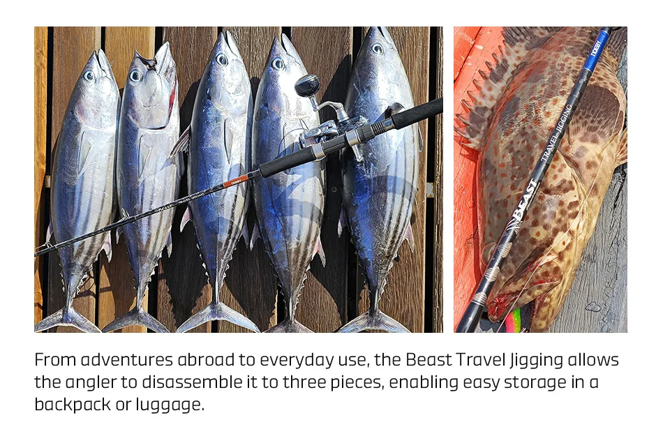 NOEBY Beast Reise-Jiggingrute 1,83m 3-teilig mit Fuji-Ringen, Toray Carbon, Spinnrute für Offshore-Großwildfischen – Detail 4