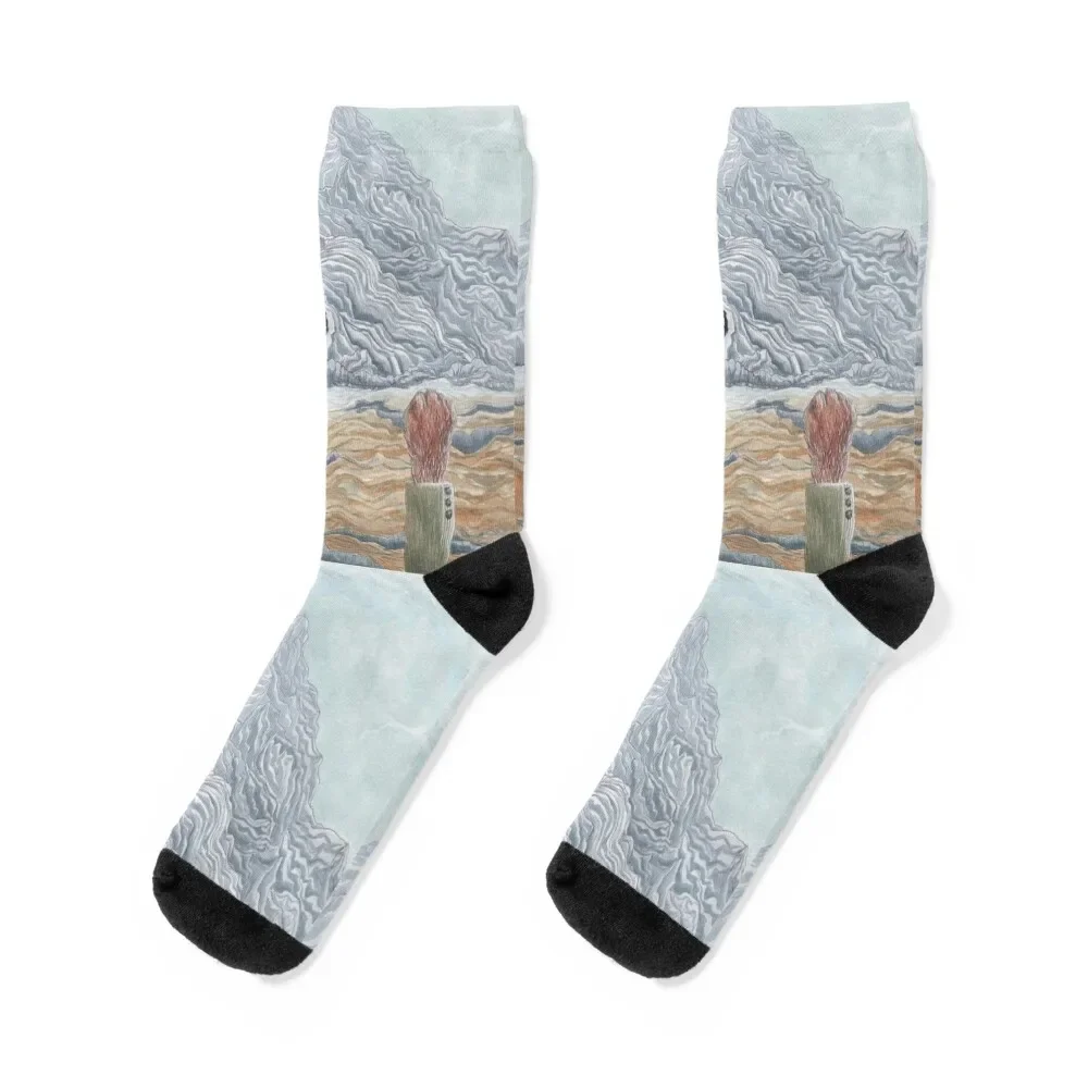 

The Winter Wolf - Fantastic Mr Fox by Wes Anderson Socks football crazy Novelties Socks Male Women's