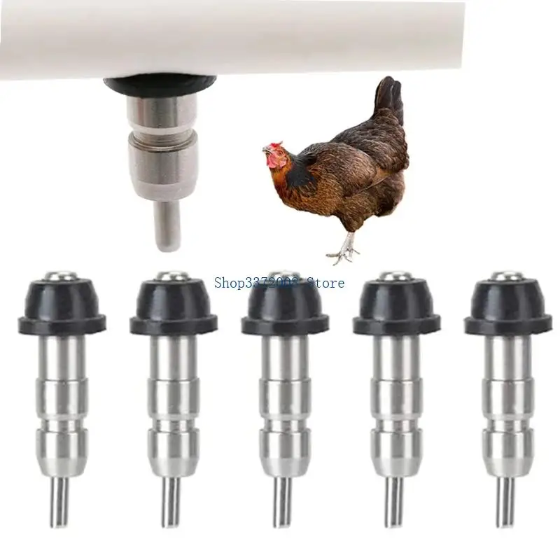 Counter Rustproof Steel Chicken Teat Drinker Detachable Container Base For Best Durability And Hygiene