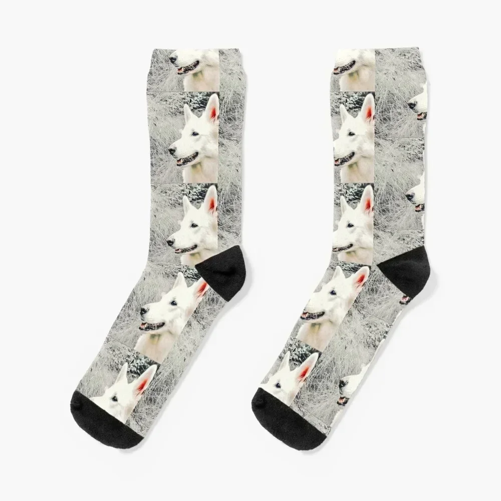 White shepherd dog in profile Socks hockey man Climbing cotton Socks For Girls Men's