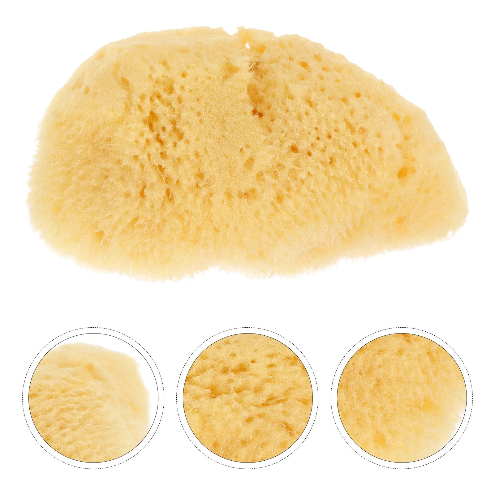 Watercolor Sponge Tools Fun Shape Design Sponges for Watercolor Texture Painting Art Craft Projects Family