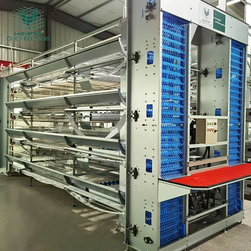 

H Type Layer Chicken Laying Cage Automatic Poultry Equipment Hens Battery Cage for Layer Chicken