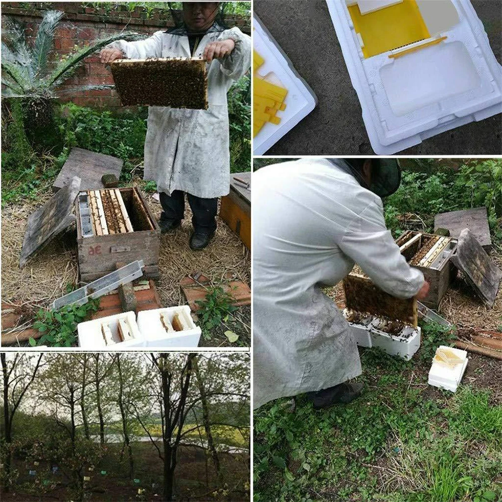 

Foam Hive Bee Mating Box Beekeeping Accessory Tool Affordable Professional Trustworthy
