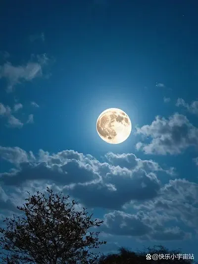 

Suder Leather Car Key Case Cover for Chevrolet Malibu Camaro Cruze Traverse Spark Equinox Sonic Volt 3 4 5 Button Protect Shell