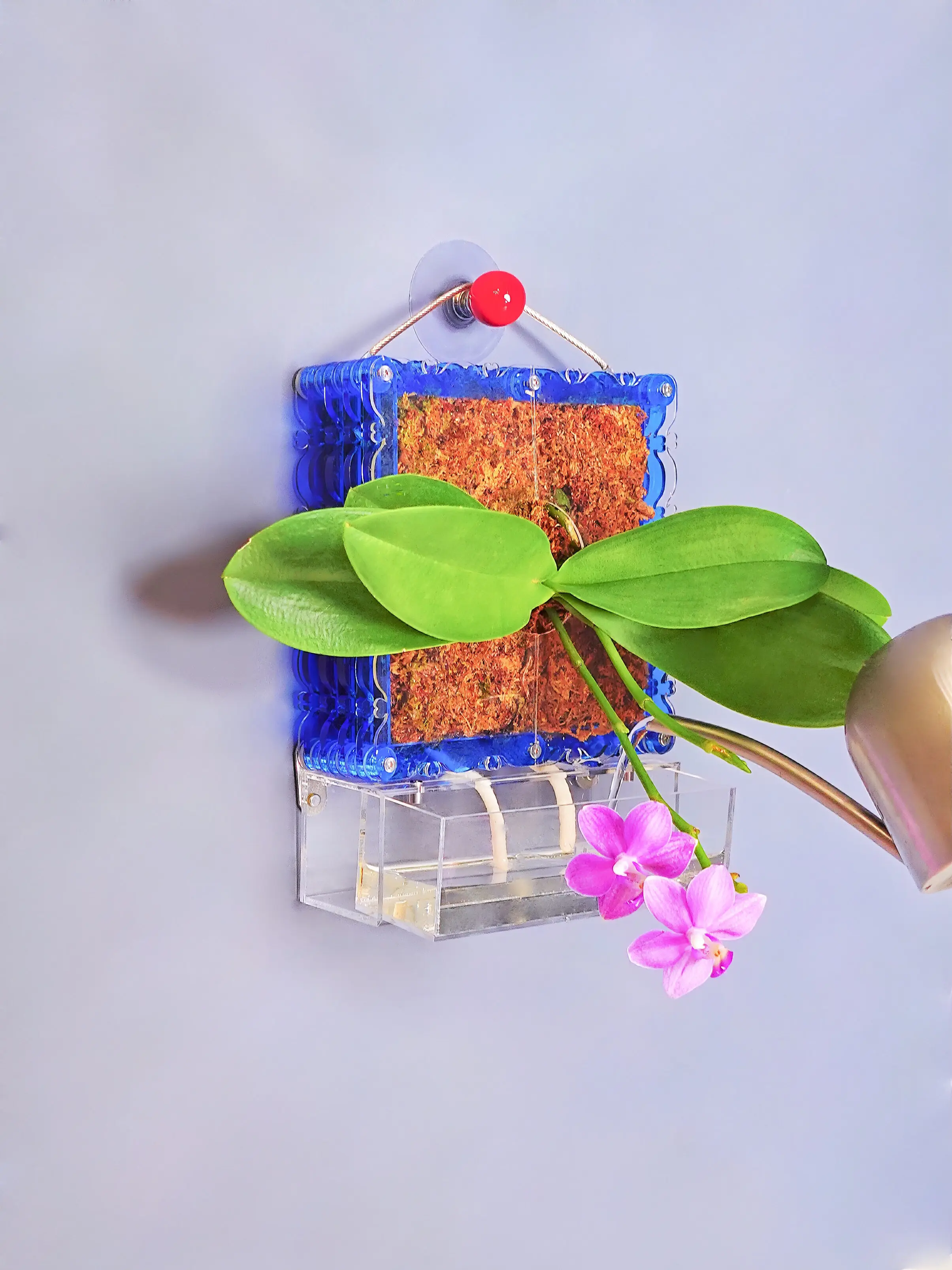 Orchid Mounting Board Flexible DIY Bending Shaping for Bonsai Succulents foliage Plants for Home Balcony Patio Garden Decoration