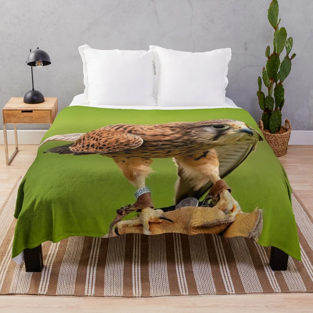 Female Kestrel Ready to Fly from the Falconer's Hand Throw Blanket Furrys Bed Summer Beddings Multi-Purpose Blankets