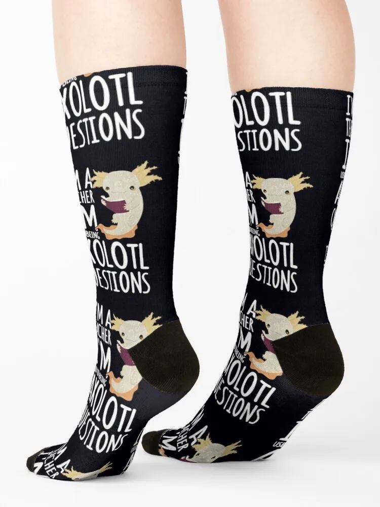 Je suis un enseignant, je suis habitué à AlexAxolotl Questions-Chaussettes amusantes pour enseignants