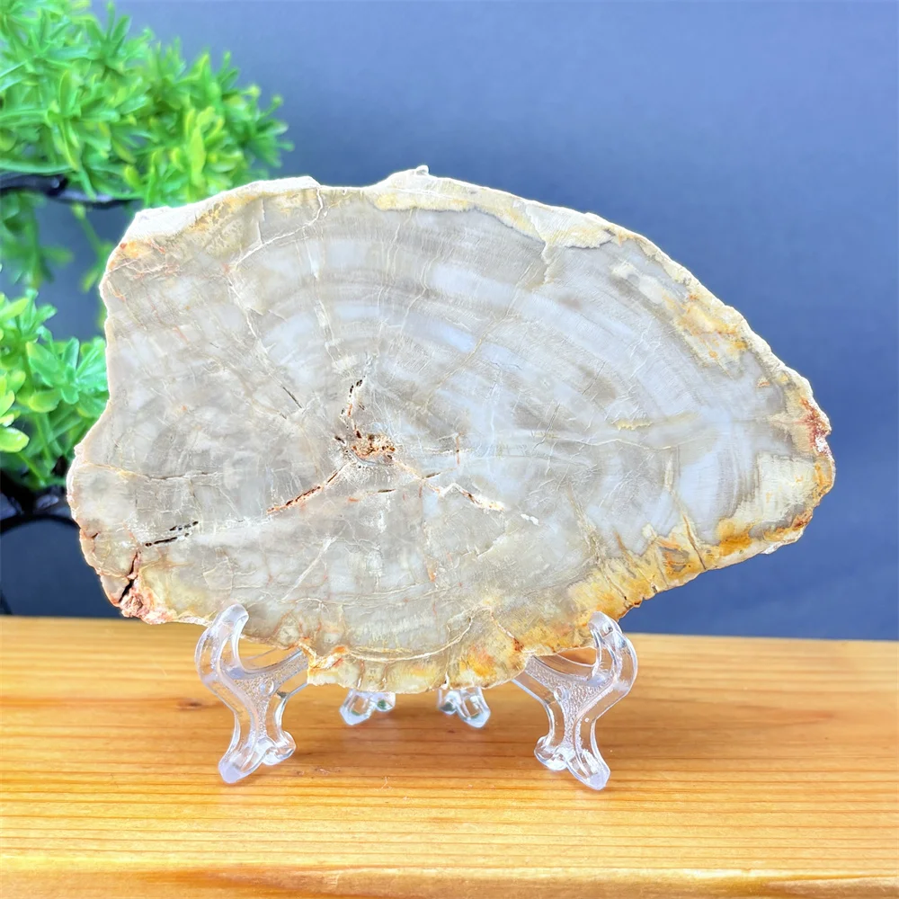 Natural Quartz Crystal Petrified Wood Slab Decorative Ornaments Unique Recent Crystal Decorative Gifts for Parents Home Decor